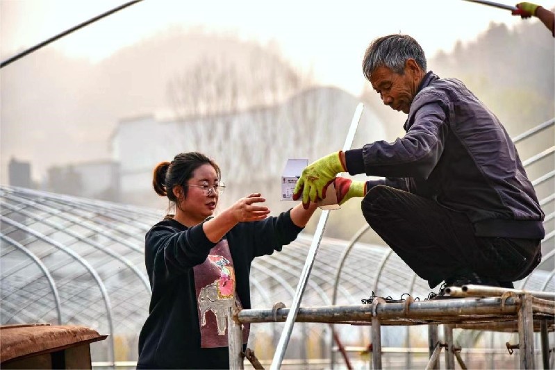 【见微调研丨乡村智理72计】走近乡村规划师：新业态促年轻消费 田园变增收乐园