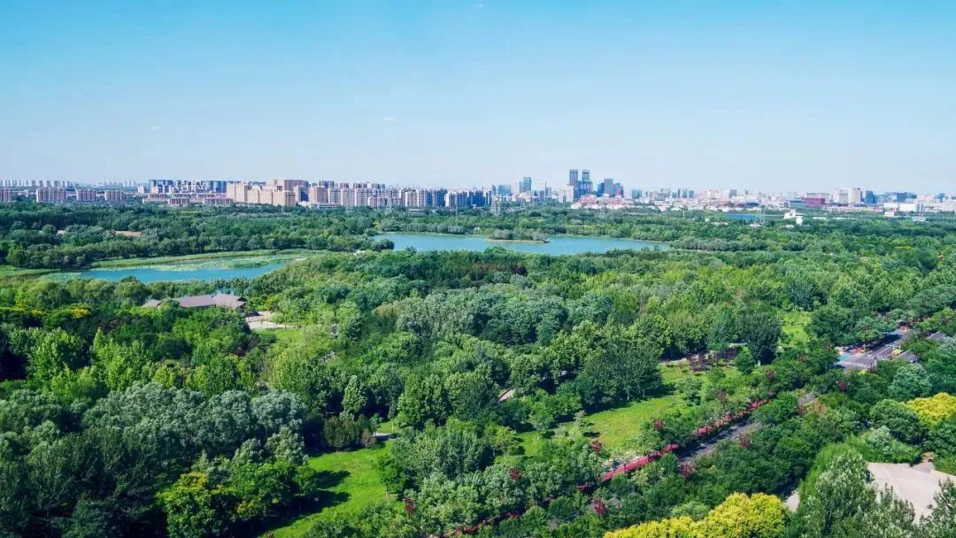 北京市荣获“国家森林城市”称号