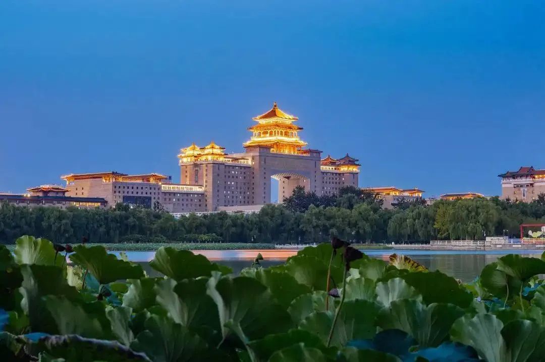 添绿16000亩!丰台区持续推进花园城市建设 添绿16000亩!丰台区持续推进花园城市建设