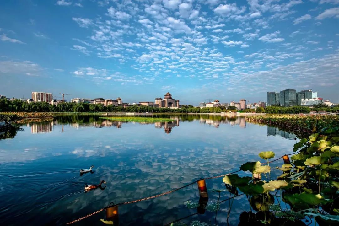 添绿16000亩!丰台区持续推进花园城市建设 添绿16000亩!丰台区持续推进花园城市建设