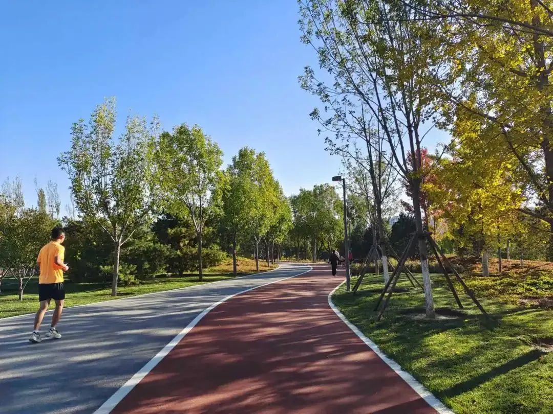 添绿16000亩!丰台区持续推进花园城市建设 添绿16000亩!丰台区持续推进花园城市建设
