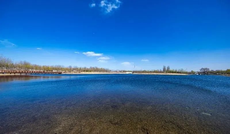 添绿16000亩!丰台区持续推进花园城市建设 添绿16000亩!丰台区持续推进花园城市建设