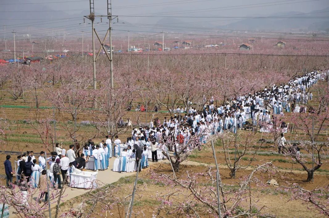 稚子挥毫承古意，百丈长卷绘桃源——平谷千名学子共书“新桃花源”