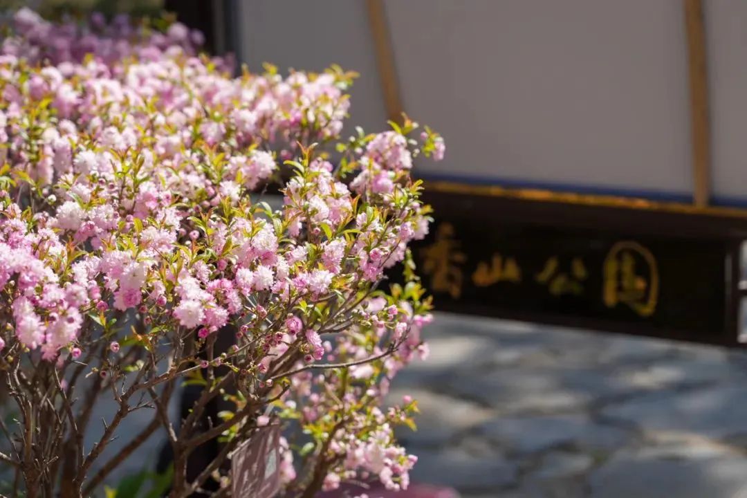 “影视里的北京”打卡路线8:大师之城丨大荧幕上的光影诗行