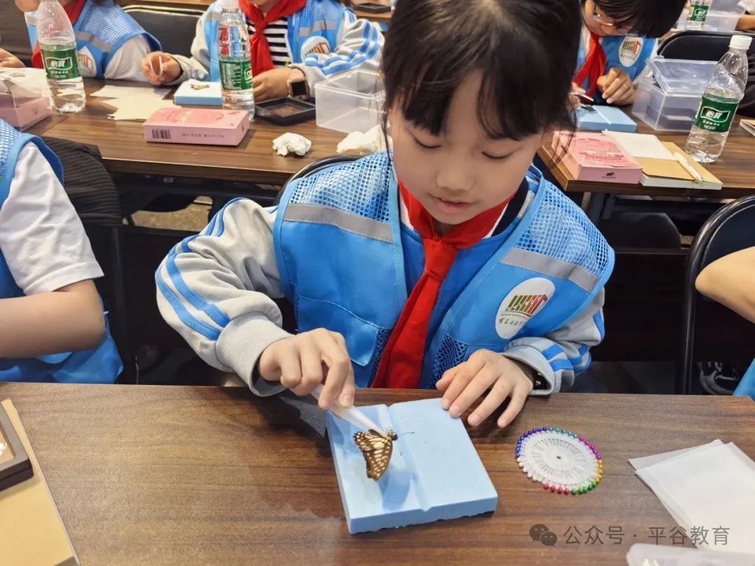 阅读周特别行动|对话文化名家，解锁“行走的阅读课”