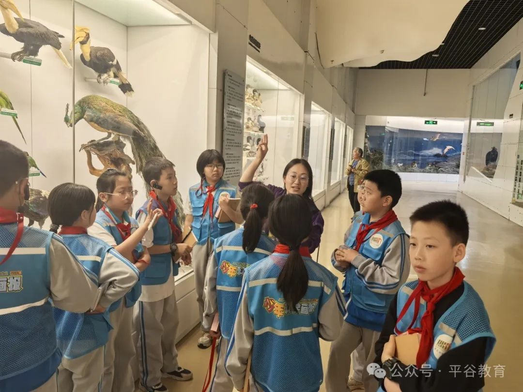 阅读周特别行动|对话文化名家，解锁“行走的阅读课”