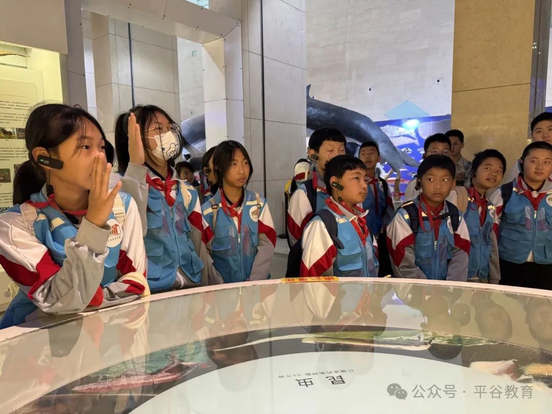 阅读周特别行动|对话文化名家，解锁“行走的阅读课”