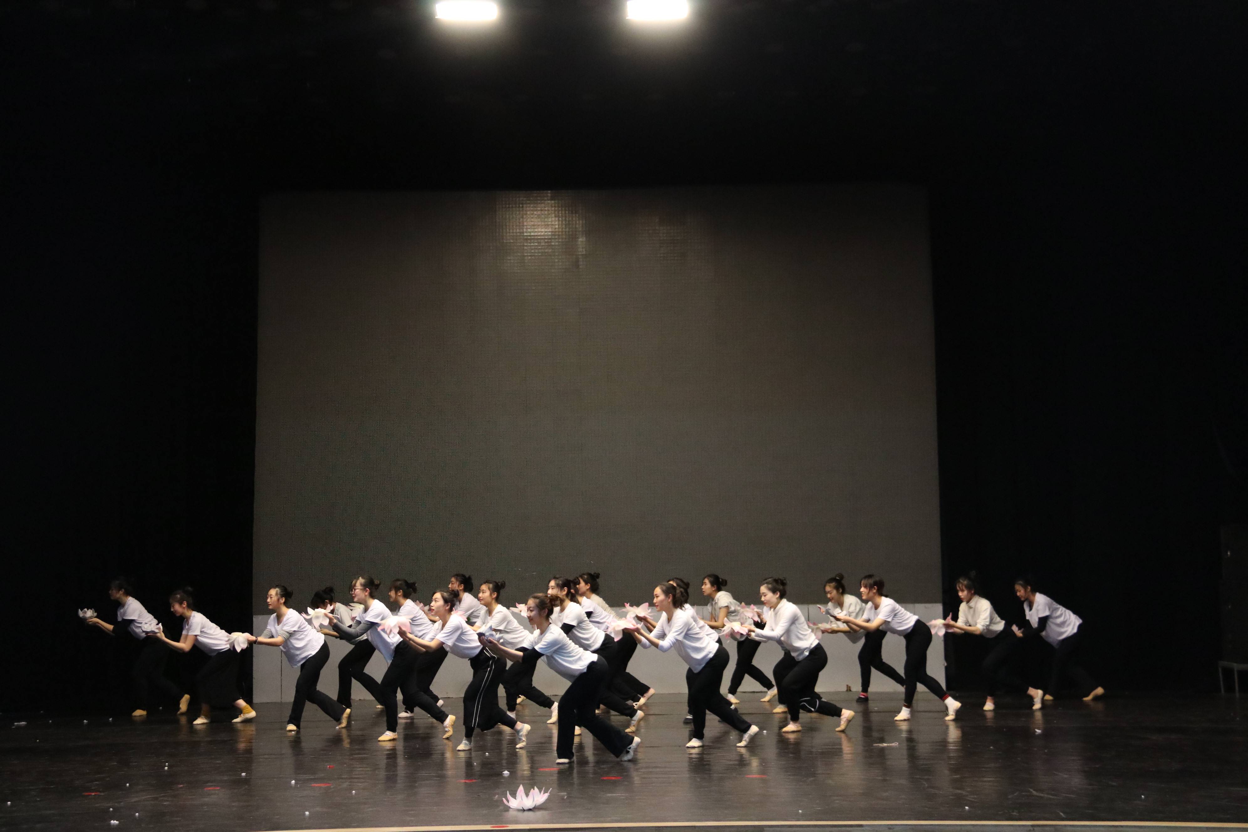 高校原创文化精品 | 大运河畔的青春华章