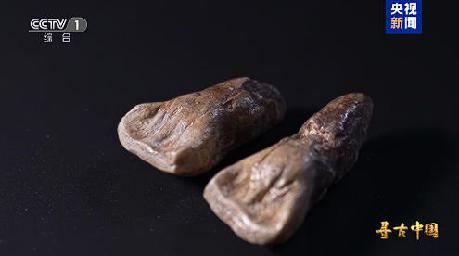 揭秘百万年人类史！《寻古中国·东方人类百万年》开播