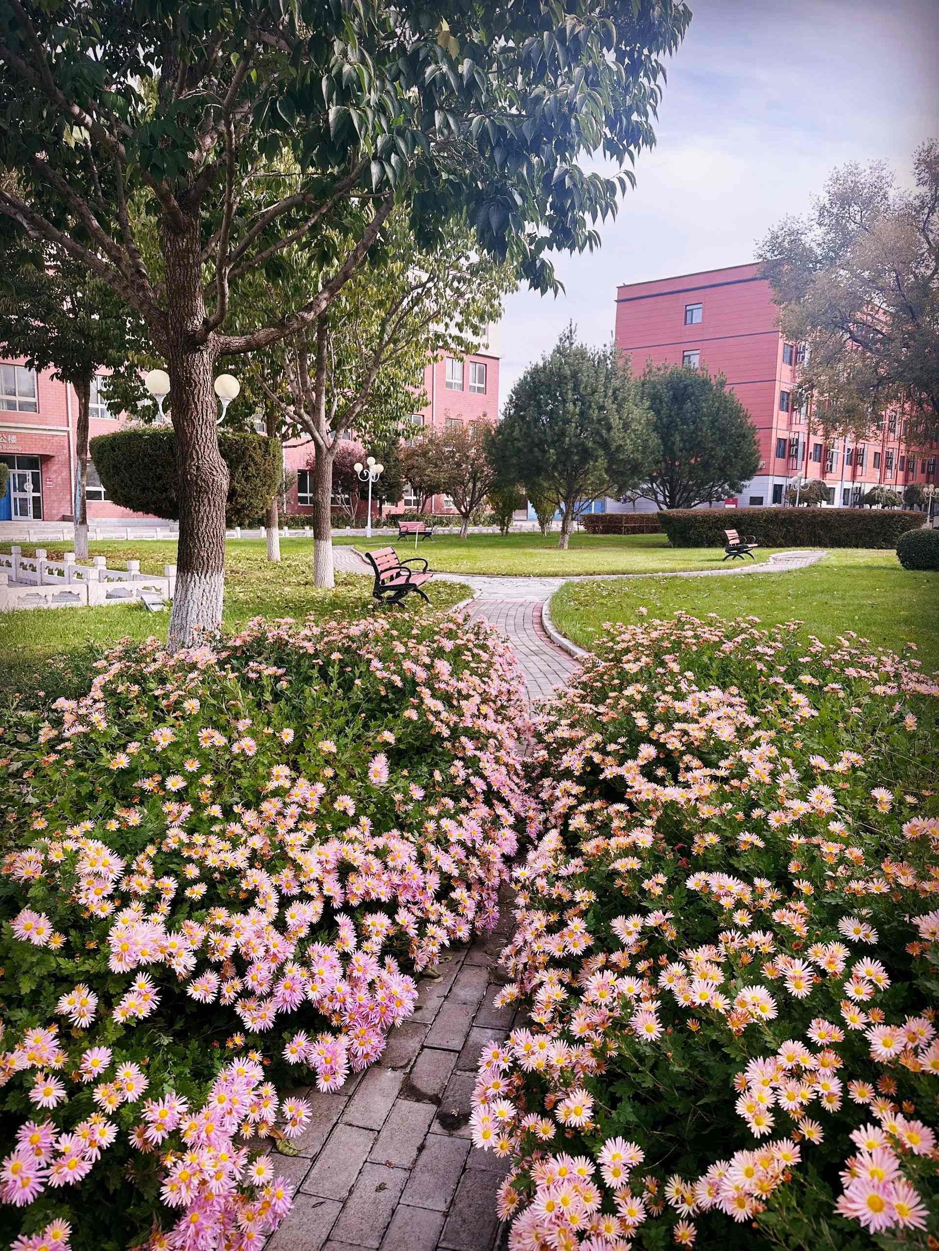 北京高校服务新时代首都发展特别报道 | 北京第二外国语学院：打造首都国际人文交流新高地