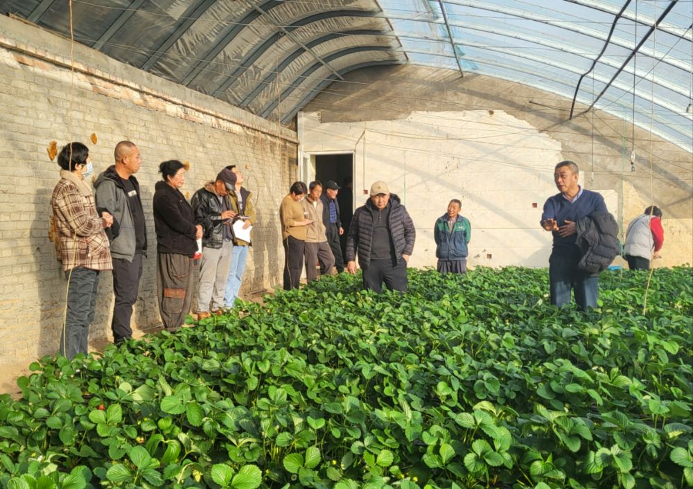 北京高校服务新时代首都发展特别报道 | 北京农业职业学院②：沃野田畴间书写