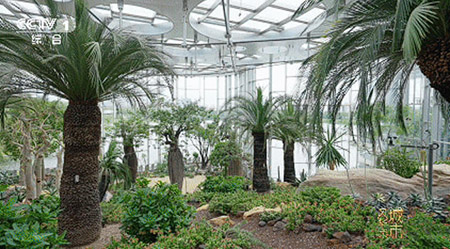 浦江奔涌，潮起东方 《城市风华录》走进上海