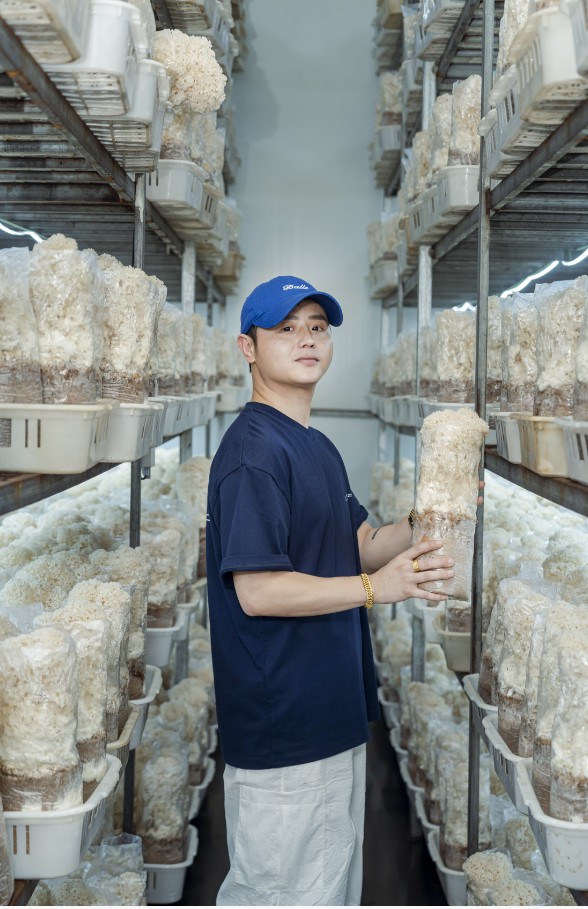 智慧种菌“技术流”王鹏：菌棒变“金棒”，绣球菌日产3吨不够卖