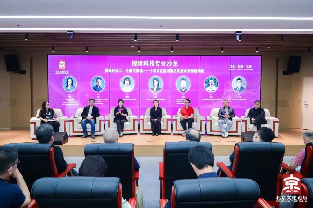 虚实无界，沉浸视听，2025北京文化论坛“视听科技专业沙龙”前瞻沉浸式产业未来