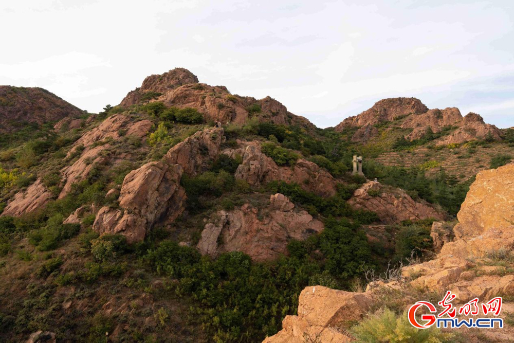 和谐共生｜圣地红山披绿妆——探访红山国家森林公园