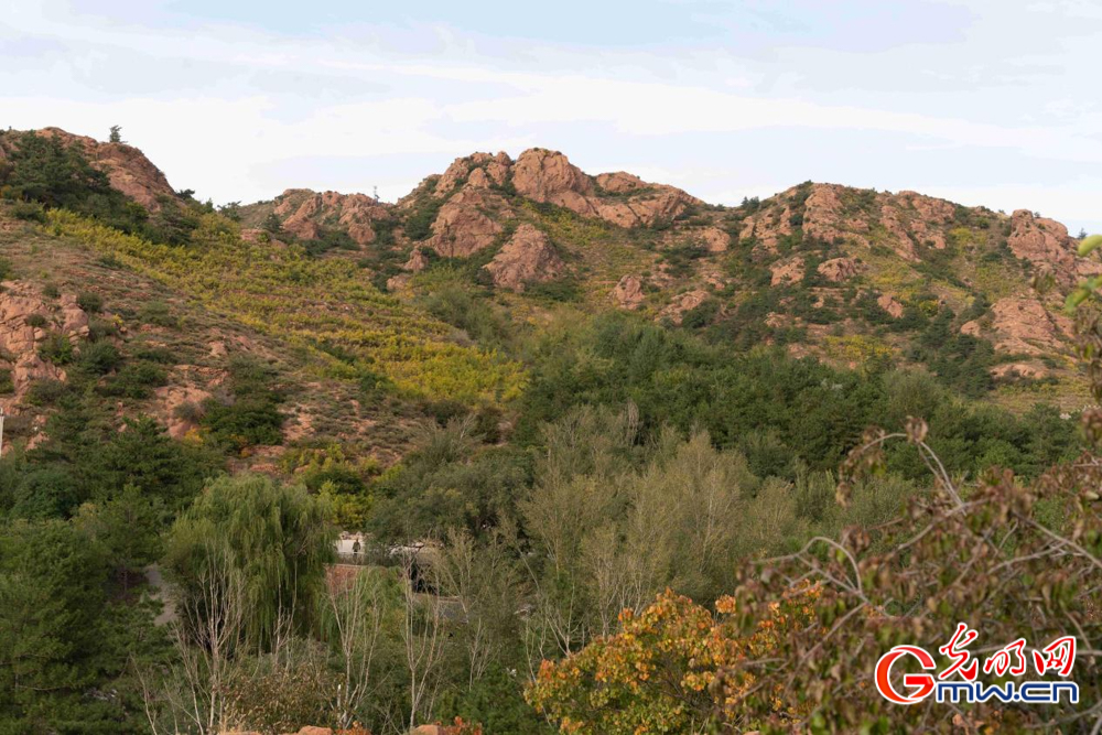 和谐共生｜圣地红山披绿妆——探访红山国家森林公园