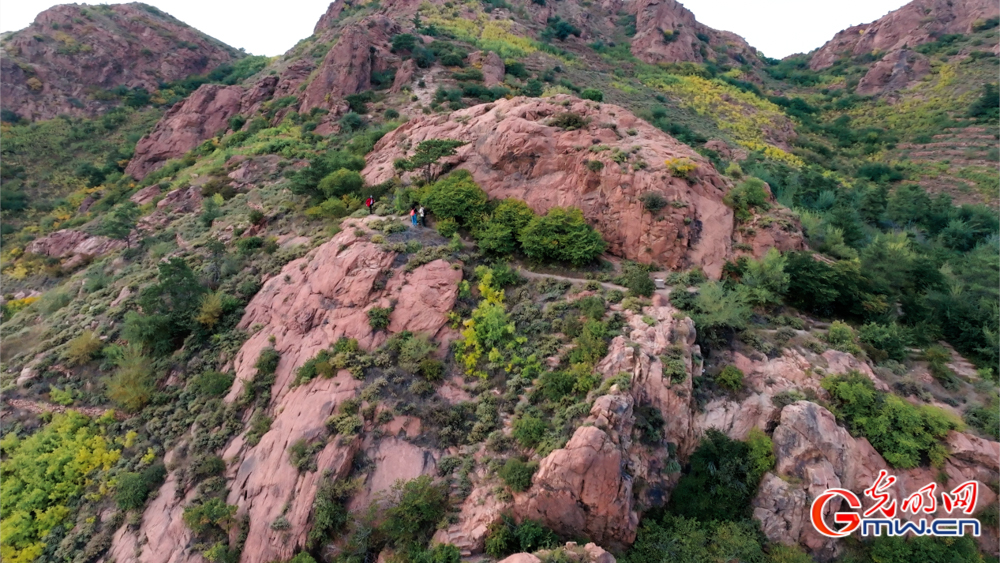 和谐共生｜圣地红山披绿妆——探访红山国家森林公园