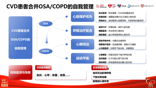 2025世界心脏日·核心说|霍勇：心血管疾病危险因素的防控新视角