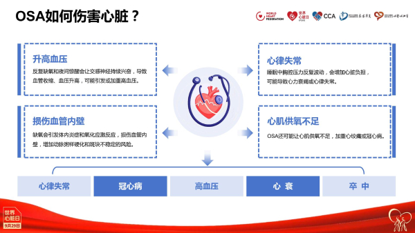 2025世界心脏日·核心说|霍勇：心血管疾病危险因素的防控新视角