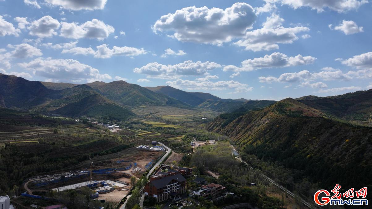 和谐共生｜“两山”理念扎根马鞍山林场