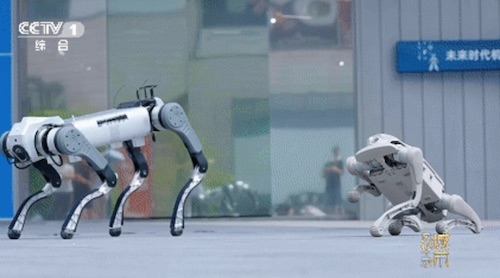 鹏城风华起，奇迹正当时 《城市风华录》走进深圳