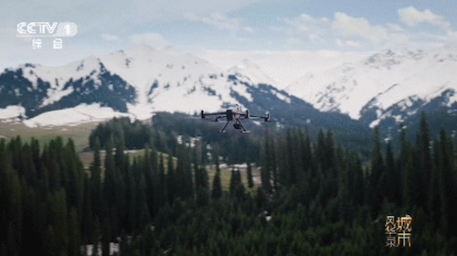 鹏城风华起，奇迹正当时 《城市风华录》走进深圳
