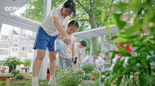 鹏城风华起，奇迹正当时 《城市风华录》走进深圳
