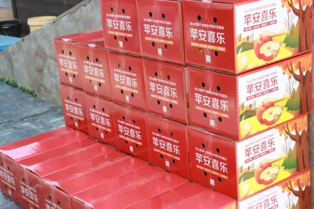 嘎嘣脆!张山营苹果丰收啦~ 6f647e7b355c2bf6c2e02fb3658b7ece.jpg