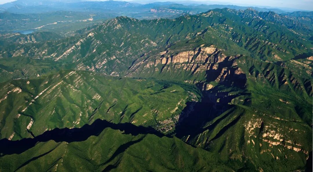 “老朋友”住新家~中华斑羚“打卡”延庆莲花山——