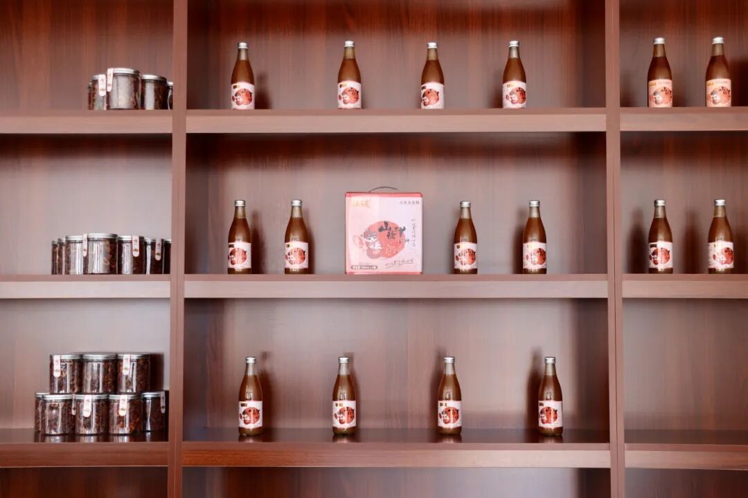 山楂红啦！大庄科乡山楂映红“致富路”——