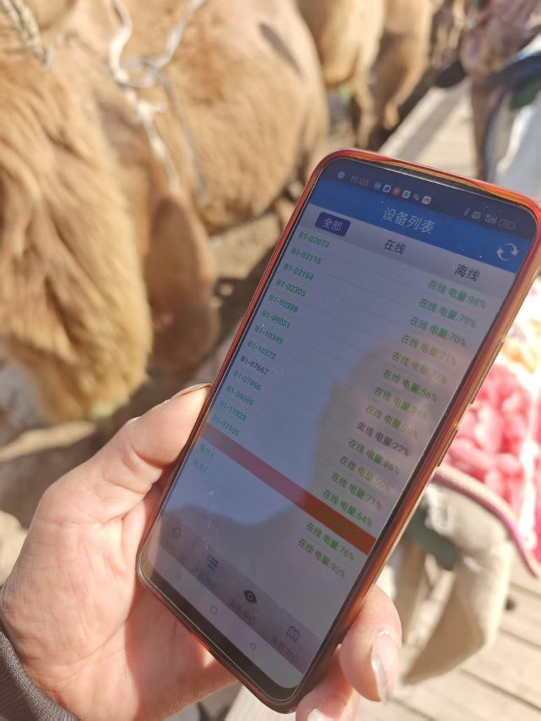 和谐共生｜从 “靠天养畜” 到 “沙湖掘金”