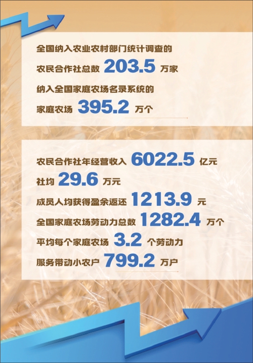 多元主体快速成长 模式创新稳产增收