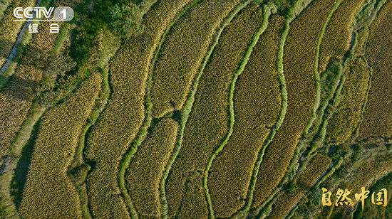 循自然之法,守山河岁岁长青!《山水工程》即将开播 循自然之法,守山河岁岁长青!《山水工程》即将开播