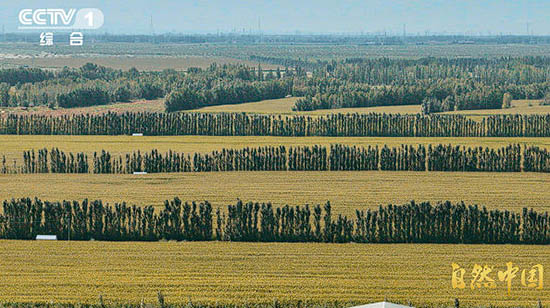 循自然之法,守山河岁岁长青!《山水工程》即将开播 循自然之法,守山河岁岁长青!《山水工程》即将开播