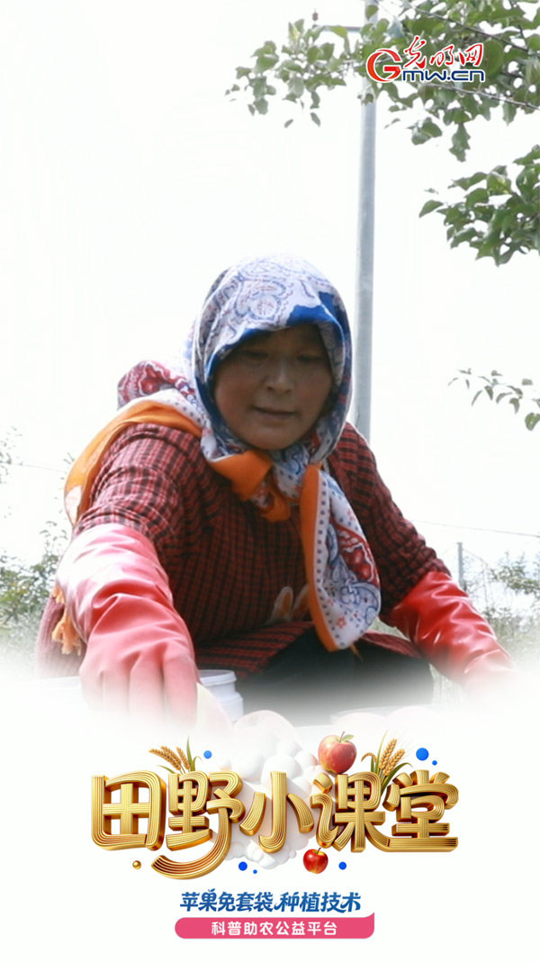 田野小课堂丨双BUFF叠加！这里的苹果“涨”声一片