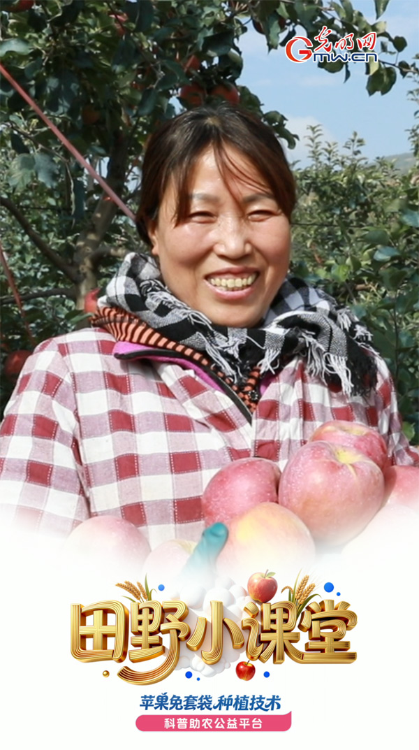 田野小课堂丨专家施了啥魔法，苹果入冬还能“超长待机”？