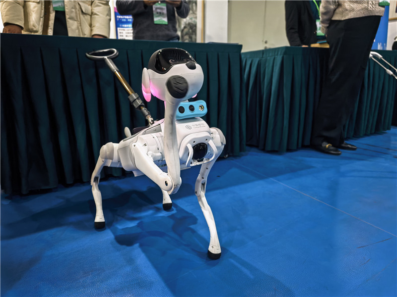 科技赋能无障碍 第19届中国信息无障碍论坛在京举办