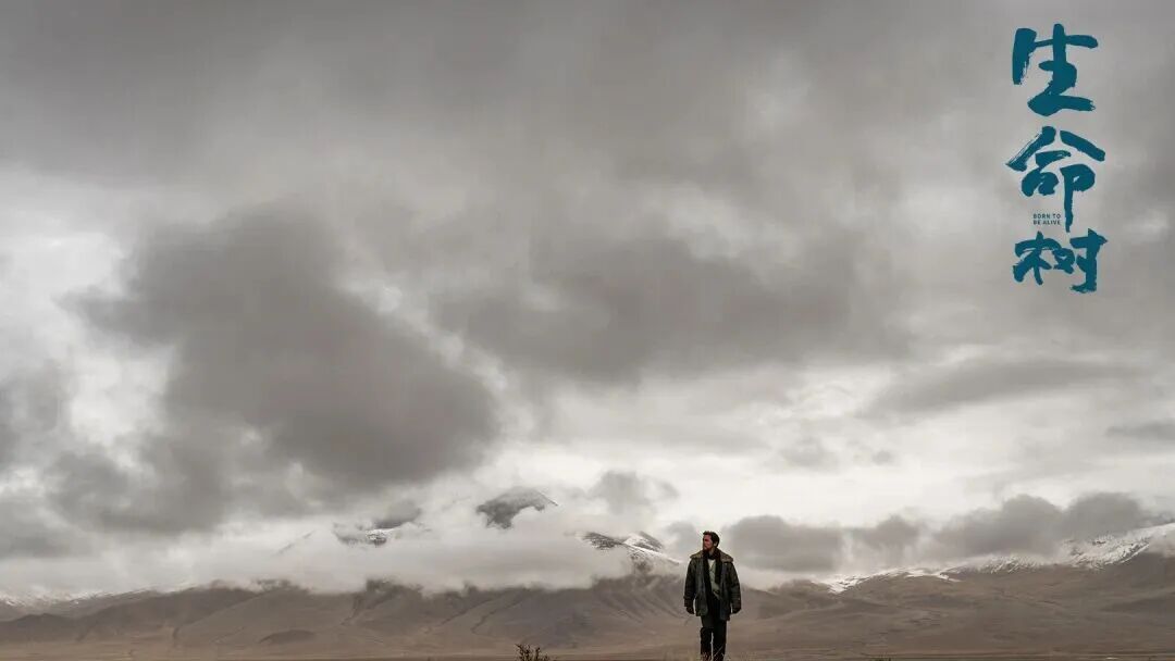 《生命树》:高原上的守护者之歌