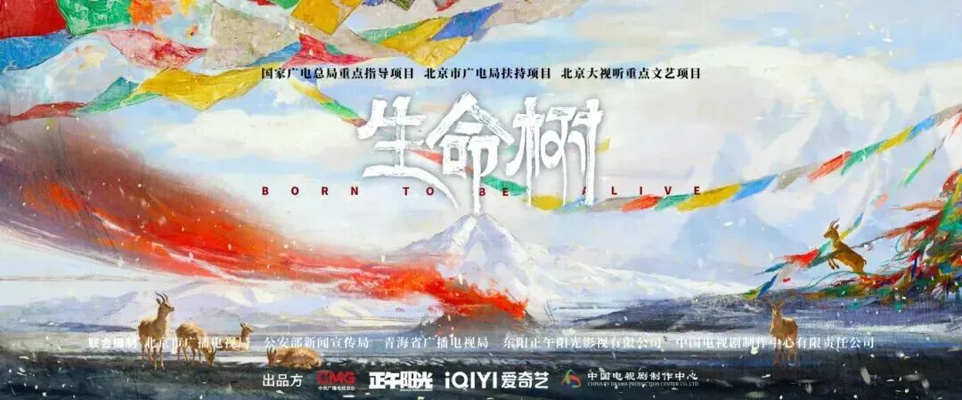 践行生态文明思想 礼赞高原生命守护:“北京大视听”用《生命树》书写绿色答卷