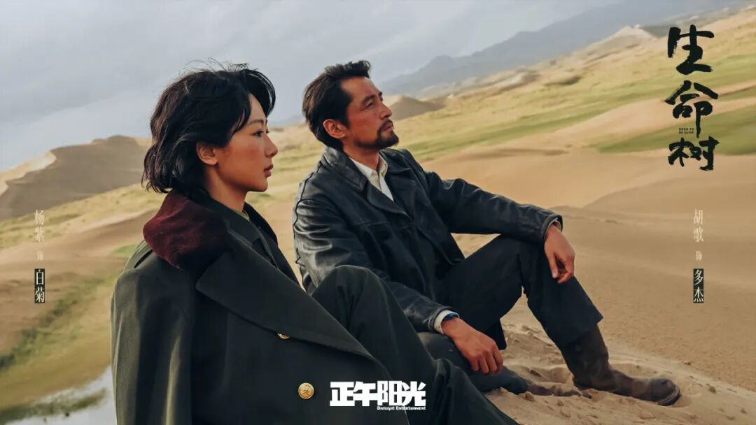 开年大剧《生命树》何以深植人心