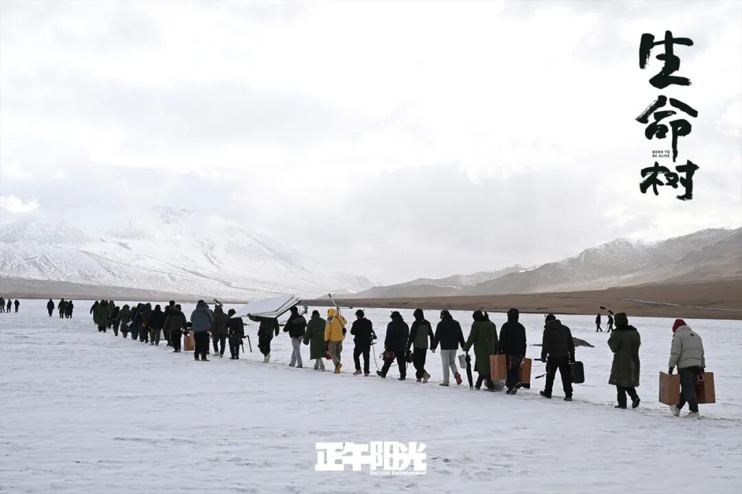 开年大剧《生命树》何以深植人心