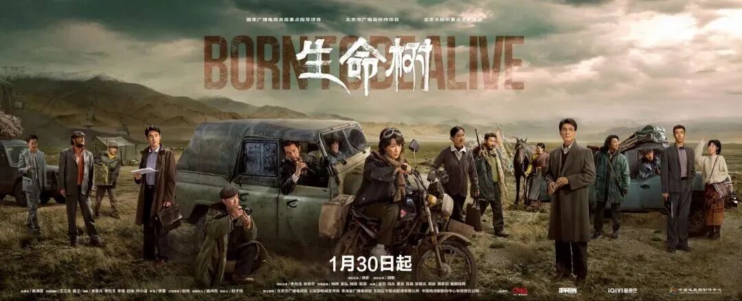 李雪:以三阶段创作历练,雕琢高原环保的生命史诗