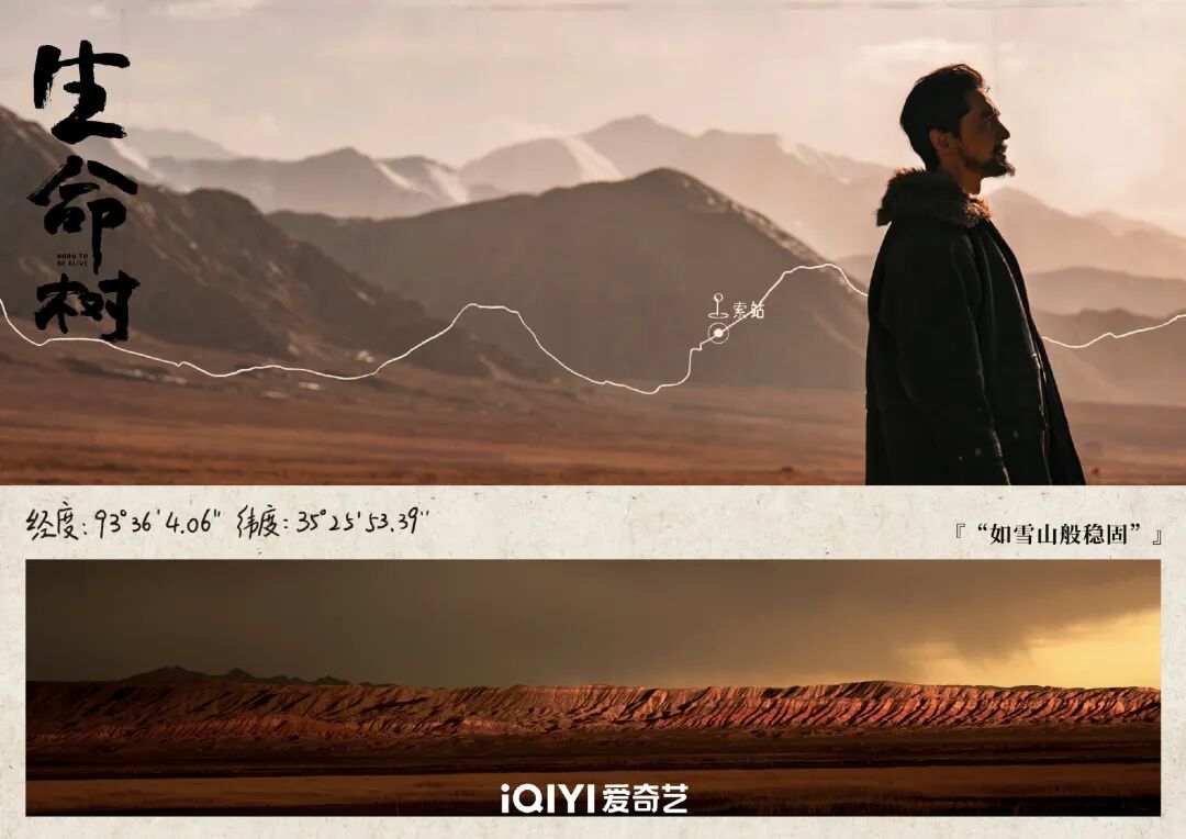 胡歌讲述《生命树》:成为守护者,让敬畏之心扎根大地