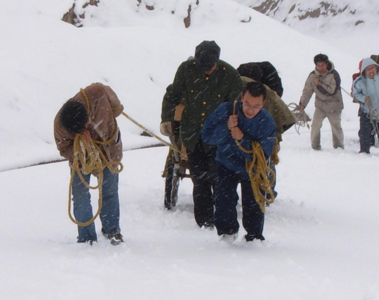 那片他扎根的荒漠，开出了花