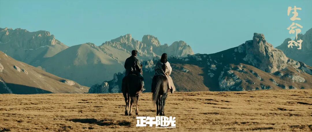 跟着“北京大视听”游中国!《生命树》取景地上新闻联播了——