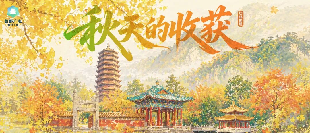 这场主题研讨告诉您:我们“视”好朋友呀!来北京,拍剧取景不迷路!