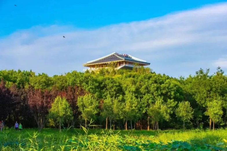 丰台90家公园实现“无界”,绿意随心而至 丰台90家公园实现“无界”,绿意随心而至