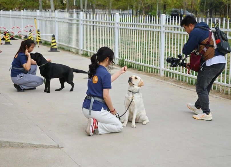 北京高校助力推进教育科技人才一体发展特别报道|北京农学院④:图说北京农学院 北京高校助力推进教育科技人才一体发展特别报道|北京农学院④:图说北京农学院
