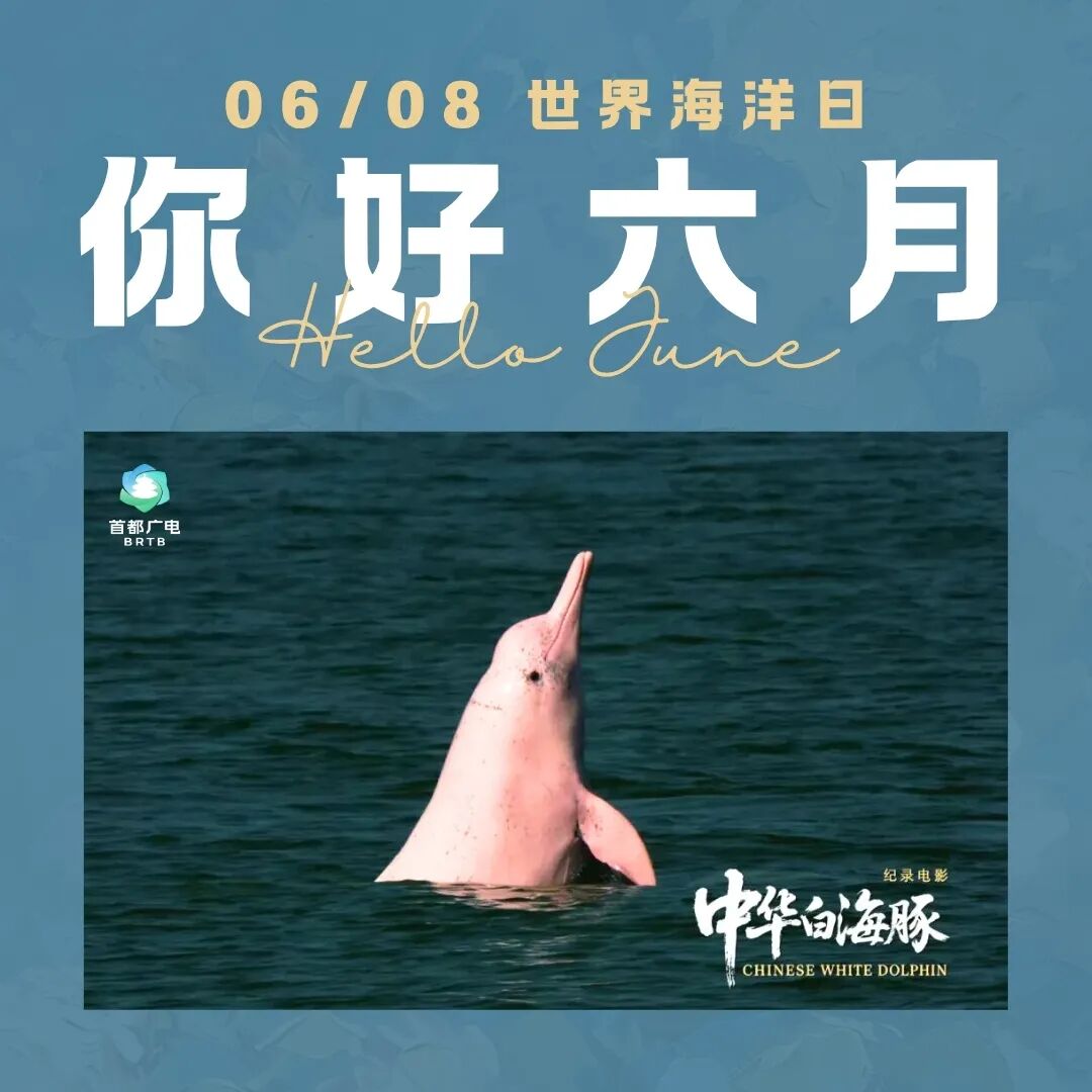 6月,带你找到“北京大视听”的正确打开方式——