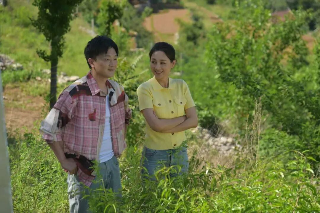 不只是种艾草!《商陆,佳方》用轻喜剧打开中医药文化,笑泪中见证乡村振兴
